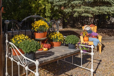 Fall Impressions at The Inn at Pennington Place in Walsenburg